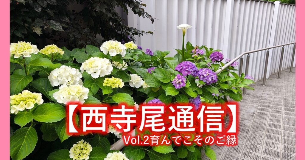 【西寺尾通信】Vol.2