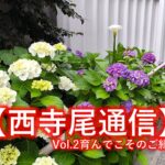【西寺尾通信】Vol.2