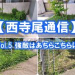 【西寺尾通信】Vol.5 強敵はあちらこちらに