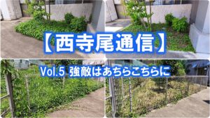 【西寺尾通信】Vol.5 強敵はあちらこちらに