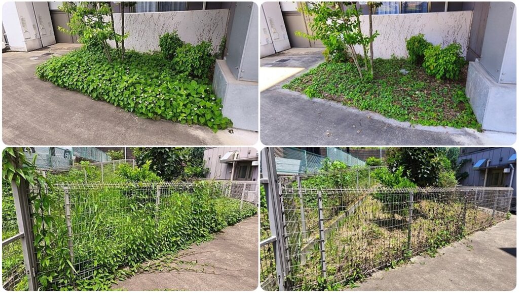 そんぽの家園内画像